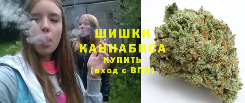 Шишки марихуана THC 21%  где купить наркоту  Чердынь 